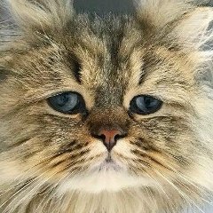 Вячеслав Василенченко, 09.06, Вольногорск