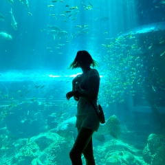 Алия Бойко, 21.04, Алматы