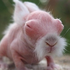 Родион Елфимов, 10.04, Сыктывкар