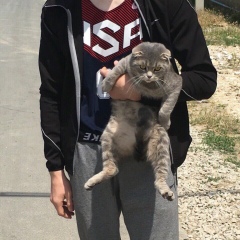 Ваня Мордвинский, 16.02.1994, Гудермес