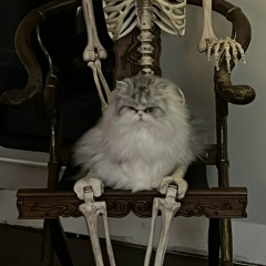 Света Порываева, 09.03, Москва