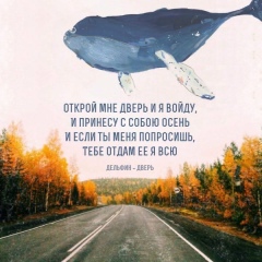 Irene Shulga, 24.11, Чернигов