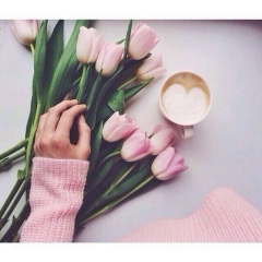 Настя Элькнер, Винница