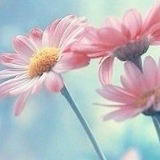 Тансылу Ханова, 16.12