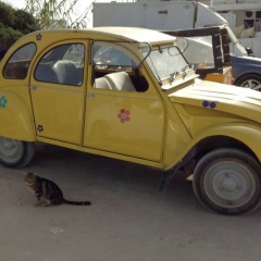 Юлия Коновалова, Киев