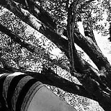 Русиф Мухтарзаде