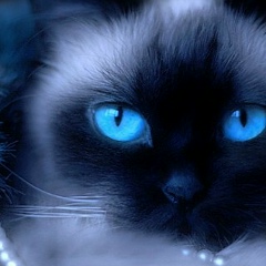 Елена Безрукова, 24.02, Уфа