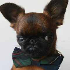 Курман Хамзин, 01.04.1994, Астана