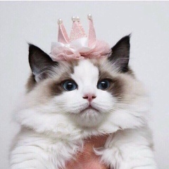 Aiya Aitpayeva, 03.10, Астана