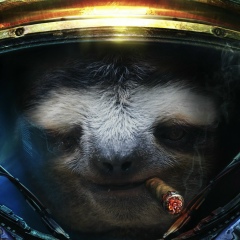 Артём Кушик, 01.08.1986, Москва