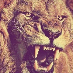 Василий Стрекаловский, 01.09.1989, Красноярск