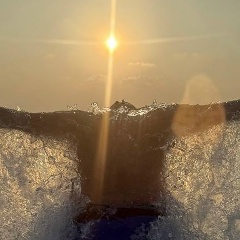 Алексей Чеков, 25.02, Москва