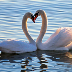 Василиса Федотова, 19.02, Санкт-Петербург