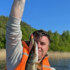 Виктор Цветков, 14.06, Москва