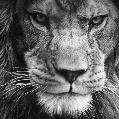 Станислав Мартынов, 28.07.1981, Санкт-Петербург