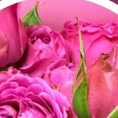 Евгения Евгения, Москва