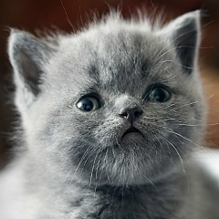 Михаил Нызенко, 26.12.1986, Борислав