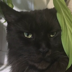 Олеся Иванова, 27.09, Санкт-Петербург