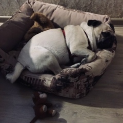 Леонид Ладарский, 26.02, Москва