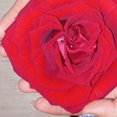 Жанна Иванова, Курган