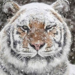 Азамат Рахматуллаев, 14.04, Актау