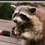 Дмитрий Малов, 28.02.1990, Рыбинск