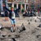 Григорий Никитин, 24.05, Москва