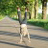 Arsalan Zhambalov, 02.01