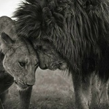 Alex Farber, 09.08.1989, Москва