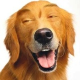 Максим Аксенов, 13.05, Санкт-Петербург