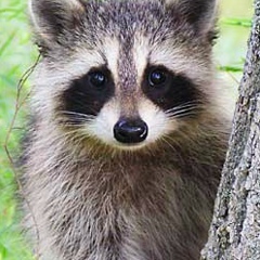 Сергей Кармаев, 30.11, Великий Новгород