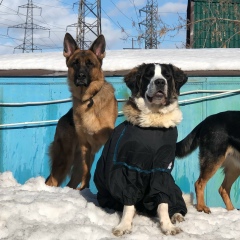 Валерия Зубковская, 29.06.1985, Новосибирск