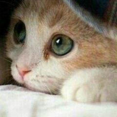 Антон Кузнецов, 22.02