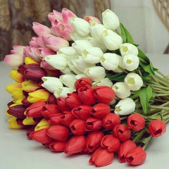 Жансауле Сарекенова, 07.09, Уральск