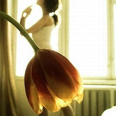 Амина Созаева, 26.06, Нальчик