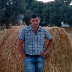 Дмитрий Волков, Орёл