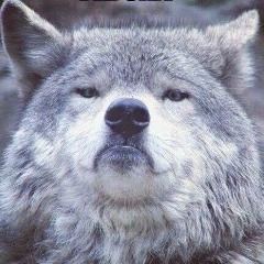 Вениамин Кубланов, 29.05.1985, Санкт-Петербург