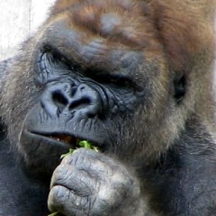 Для Нее, 16.01, Раменское