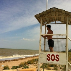 Владимир Осолихин