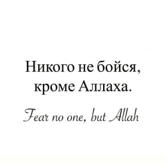 Исмаил Решитов, 02.01