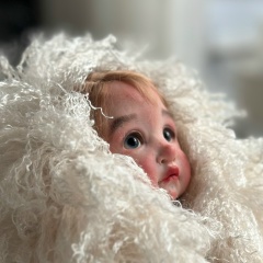 Дина Стрельцова, Москва