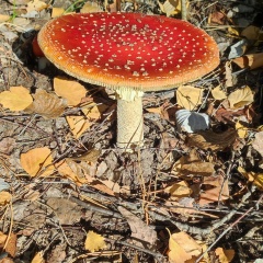 Михаил Казаков, 14.04.1984, Самара