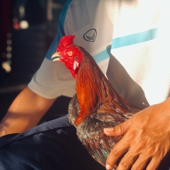 Wasan Nettong, 15.03.1991, Bangkok