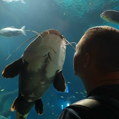 Сергей Мистеркулов, Остров