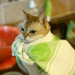 Андрей Сафронов, 03.10, Барнаул