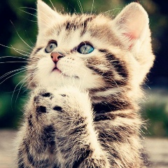 Сергій Квас, 04.10, Новояворовск