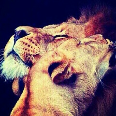 Дария Дамур, 16.02, Алматы