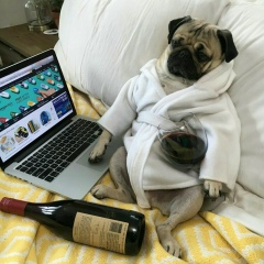 Роман Зимницкий, 10.08, Харьков