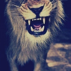 Кирилл Гученков, 11.06, Москва