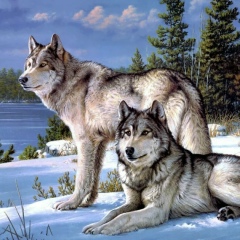 Магамед Магамед, 02.02.1997